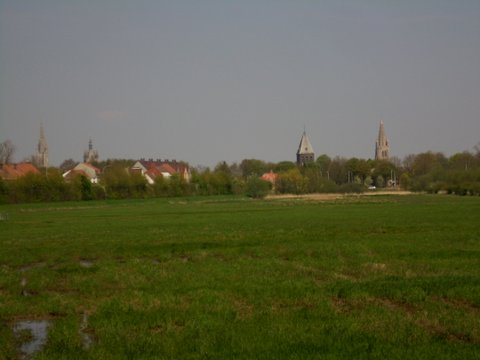 DSCI0002.JPG