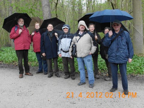 DSCI0023 Hallerboswandeling 21 mei 2012 Defranc.JPG
